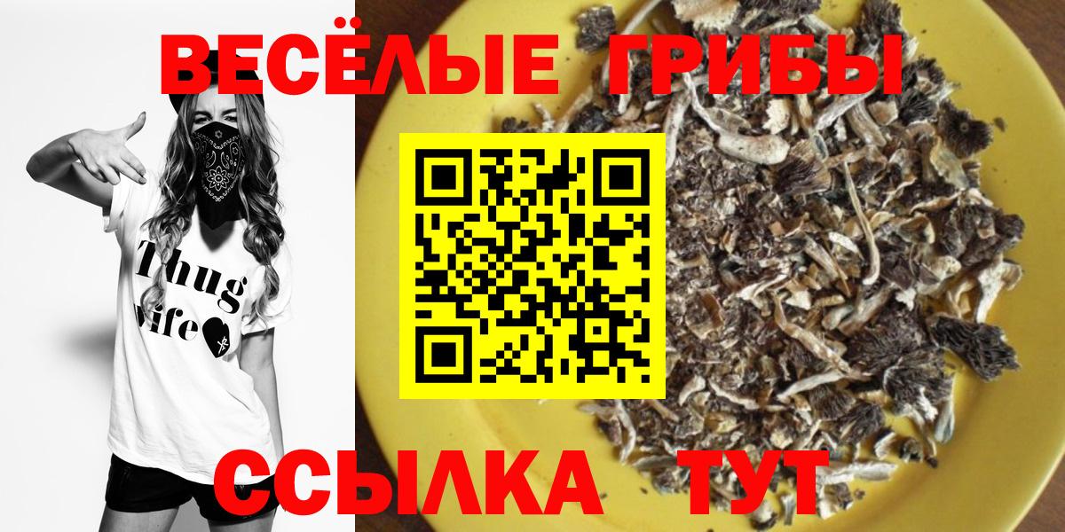 Псилоцибиновые грибы прущие грибы  Вход с VPN  цена наркотик  Псилоцибиновые грибы Cubensis  Краснознаменск 