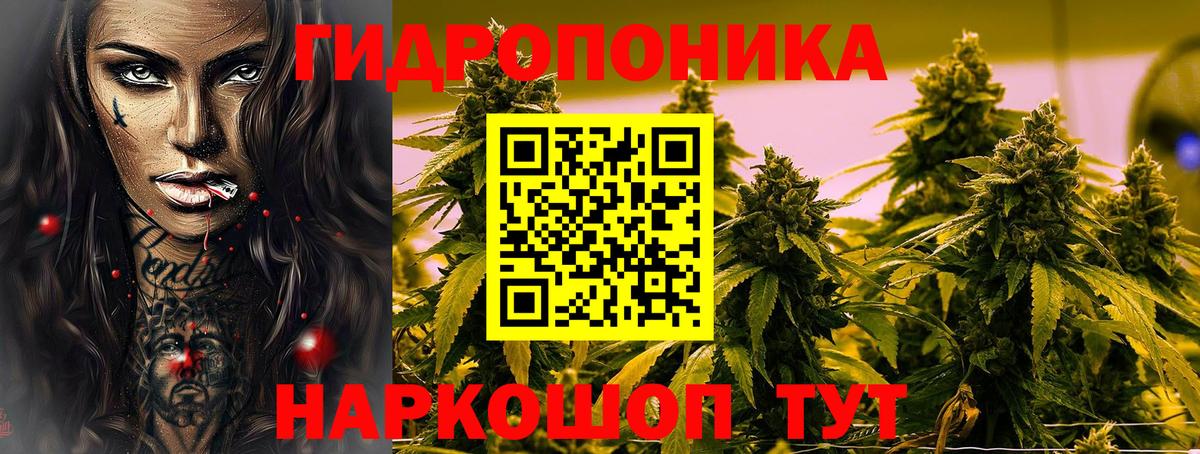 Конопля White Widow  МАРИХУАНА SATIVA & INDICA  Бошки Шишки THC 21%  Вход с VPN  Краснознаменск 